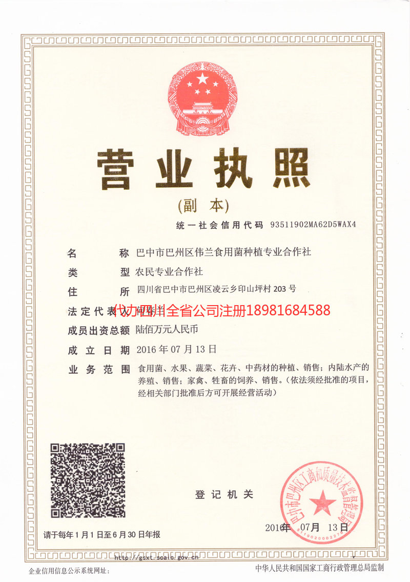 菏泽菏泽伟兰食用菌种植专业合作社